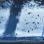 Follow And Dance (Death By Tornadoschrott)