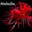 Melodia