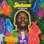 Sinkane - We Belong album artwork