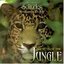 Secrets of the Jungle