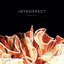 Introspect