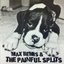 Max Bemis and The Painful Splits