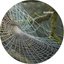 Specular Reflection (Liquid Solid Redux 2000-2010)