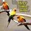 Three Little Birds