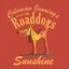 Sunshine - Single