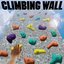 Climbing Wall