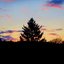 Painted skies