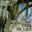 The Tree Of Life