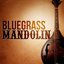 Bluegrass Mandolin