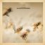 Brian McBride - The Effective Disconnect album artwork