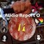 Audio Report O