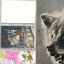 Rottweiler [Explicit]