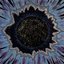 My Universe Is Falling Down but It Will Never Hit the Ground