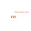 Fly