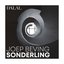 Joep Beving: Sonderling