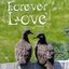 Forever Love