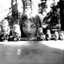 russian doll (smaller)