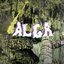 ALGA!