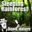 Sleeping Rainforest (Nature Sounds)