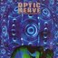 OPTIC NERVE ABSTRACTION