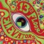 The Psychedelic Sounds of The 13th Floor Elevators [2010 Reissue - Bonus Tracks]