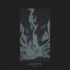 Hollow