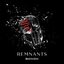 Remnants
