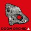 Doom Orchid