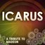 Icarus (A Tribute to Madeon)