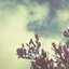 Someone to Call Your Name (II)