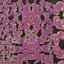 The Pink Sea