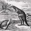 THANATOCOENOSIS