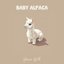 Baby Alpaca