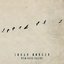 Wild Geese Calling