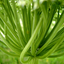 Avatar for kleinur