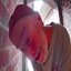 open the noor type beat