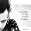 Cemetery of the broken dreams