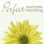 The Perfect Summer Wedding