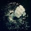 Unbound - Single