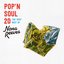 POP'N SOUL 20〜The Very Best of NONA REEVES