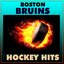 Boston Bruins Hockey Hits