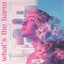 What's The Harm - Single
