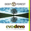 Аватар для DeepForestMusic