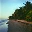 Ocean Sounds