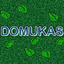 Domukazs 的头像