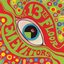 The Psychedelic Sounds Of The 13th Floor Elevators (Mono)