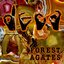 Forest Agates