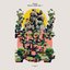 Deefyfe - Single