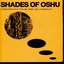 Shades Of Oshu (Collaborations From The New Berlin Jazz Underground)