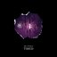 Tired - Single